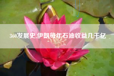 360发展史,伊朗每年石油收益几千亿