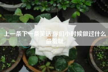 上一条下一条笑话,你们小时候做过什么最羞耻