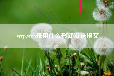 vrrp,vrrp采用什么形式发送报文