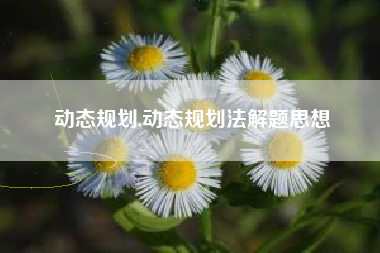 动态规划,动态规划法解题思想
