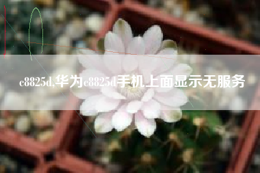 c8825d,华为c8825d手机上面显示无服务