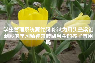 学生管理系统源代码,你认为用头悬梁锥刺股的学习精神来鼓励当今的孩子有用吗