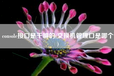 console接口是干嘛的(交换机管理口是哪个)