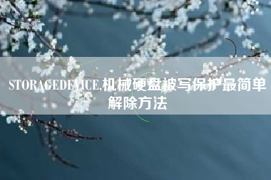 STORAGEDEVICE,机械硬盘被写保护最简单解除方法