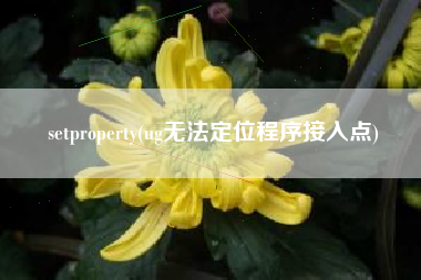 setproperty(ug无法定位程序接入点)