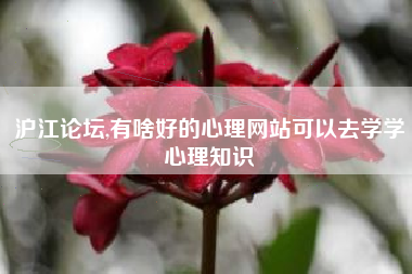沪江论坛,有啥好的心理网站可以去学学心理知识
