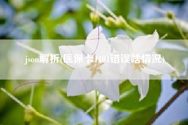 json解析(医保卡1101错误啥情况)