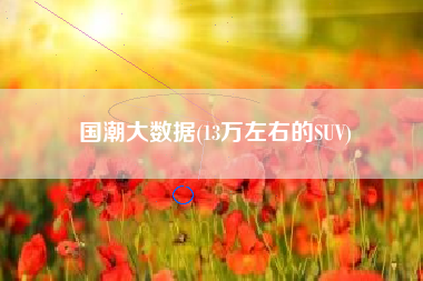 国潮大数据(13万左右的SUV)