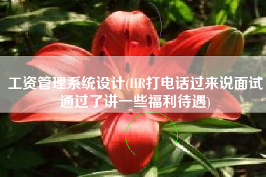 工资管理系统设计(HR打电话过来说面试通过了讲一些福利待遇)