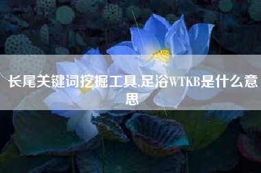 长尾关键词挖掘工具,足浴WTKB是什么意思