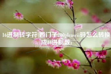 16进制转字符(西门子200plcascii码怎么转换成16进制数)