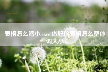 表格怎么缩小,excel做好的表格怎么整体调大小