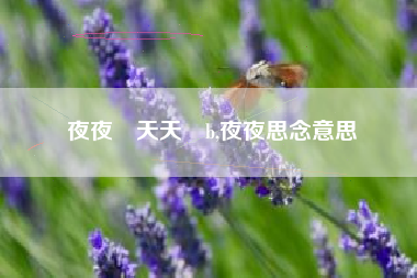 夜夜橾天天橾b,夜夜思念意思