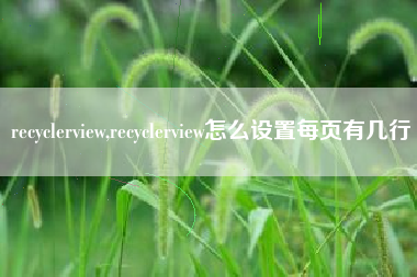 recyclerview,recyclerview怎么设置每页有几行