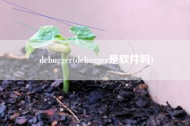 debugger(debugger是软件吗)