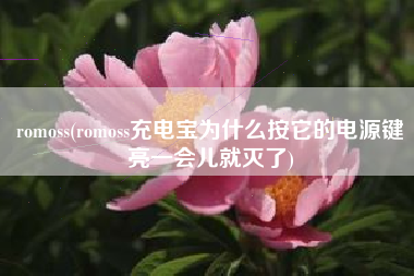 romoss(romoss充电宝为什么按它的电源键亮一会儿就灭了)
