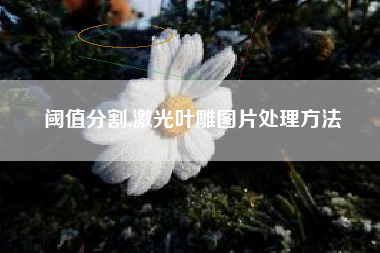 阈值分割,激光叶雕图片处理方法