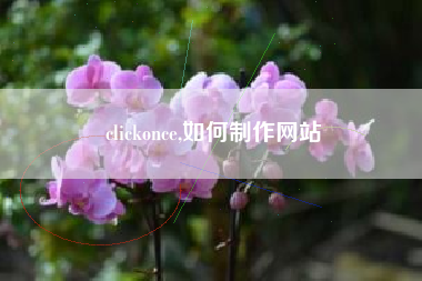 clickonce,如何制作网站