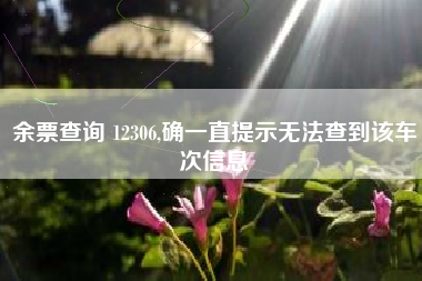 余票查询 12306,确一直提示无法查到该车次信息