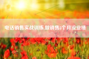 电话销售实战训练,做销售3个月没业绩
