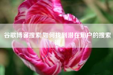 谷歌博客搜索,如何找到潜在用户的搜索词