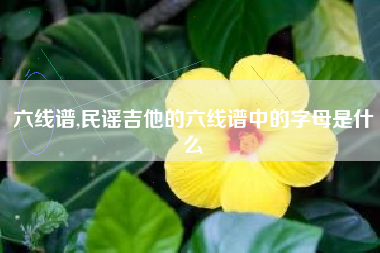 六线谱,民谣吉他的六线谱中的字母是什么