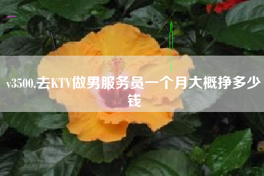 v3500,去KTV做男服务员一个月大概挣多少钱
