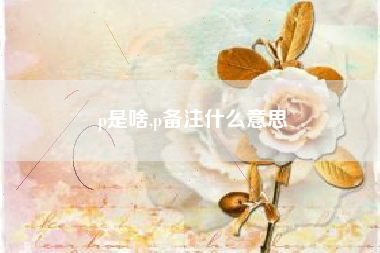 p是啥,p备注什么意思