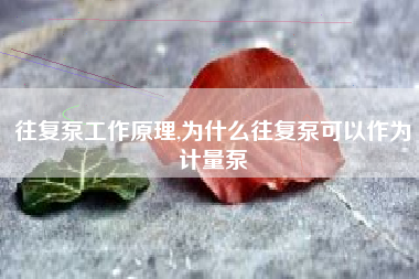 往复泵工作原理,为什么往复泵可以作为计量泵