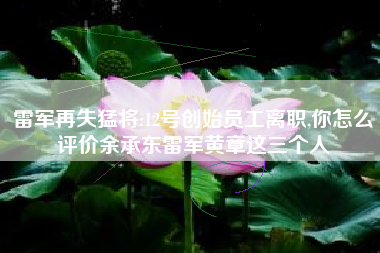 雷军再失猛将:12号创始员工离职,你怎么评价余承东雷军黄章这三个人