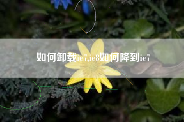 如何卸载ie7,ie8如何降到ie7