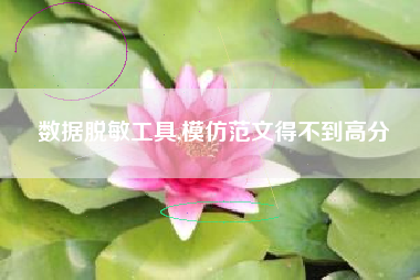 数据脱敏工具,模仿范文得不到高分