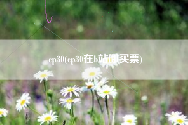 cp30(cp30在b站哪买票)