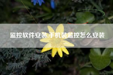 监控软件安装,手机装监控怎么安装