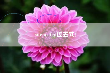 siten(siten过去式)