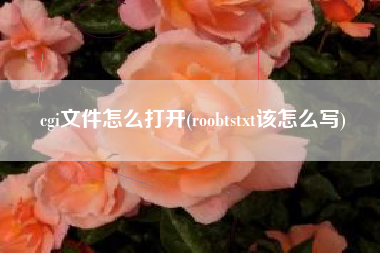 cgi文件怎么打开(roobtstxt该怎么写)