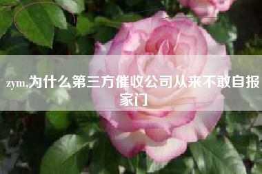 zym,为什么第三方催收公司从来不敢自报家门