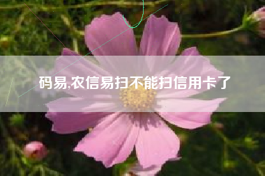 码易,农信易扫不能扫信用卡了