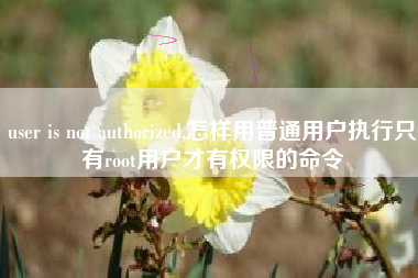 user is not authorized,怎样用普通用户执行只有root用户才有权限的命令