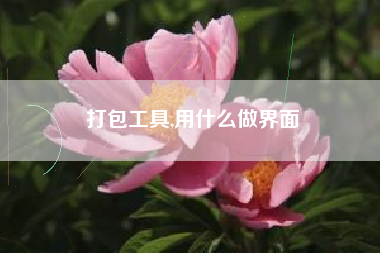 打包工具,用什么做界面