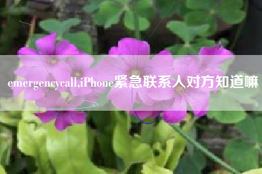 emergencycall,iPhone紧急联系人对方知道嘛