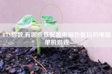RTS指数,有哪些低配置电脑也能玩的电脑单机游戏