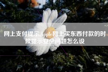 网上支付提示,Apple网上买东西付款的时候提示安全问题怎么设