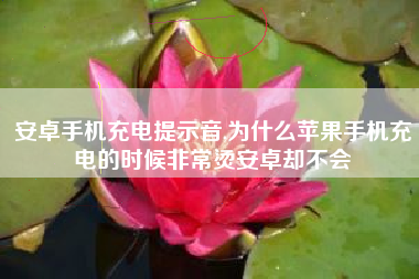 安卓手机充电提示音,为什么苹果手机充电的时候非常烫安卓却不会