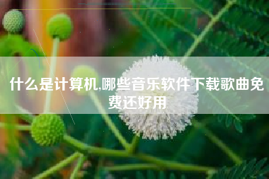 什么是计算机,哪些音乐软件下载歌曲免费还好用
