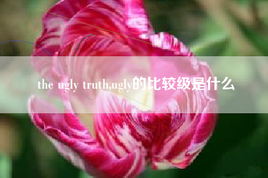 the ugly truth,ugly的比较级是什么