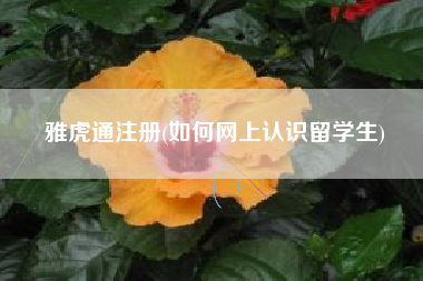雅虎通注册(如何网上认识留学生)