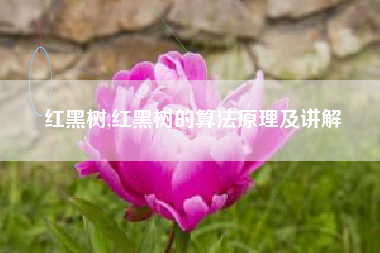 红黑树,红黑树的算法原理及讲解