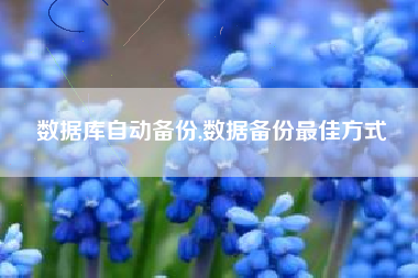 数据库自动备份,数据备份最佳方式