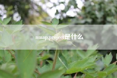 nmap,project是什么